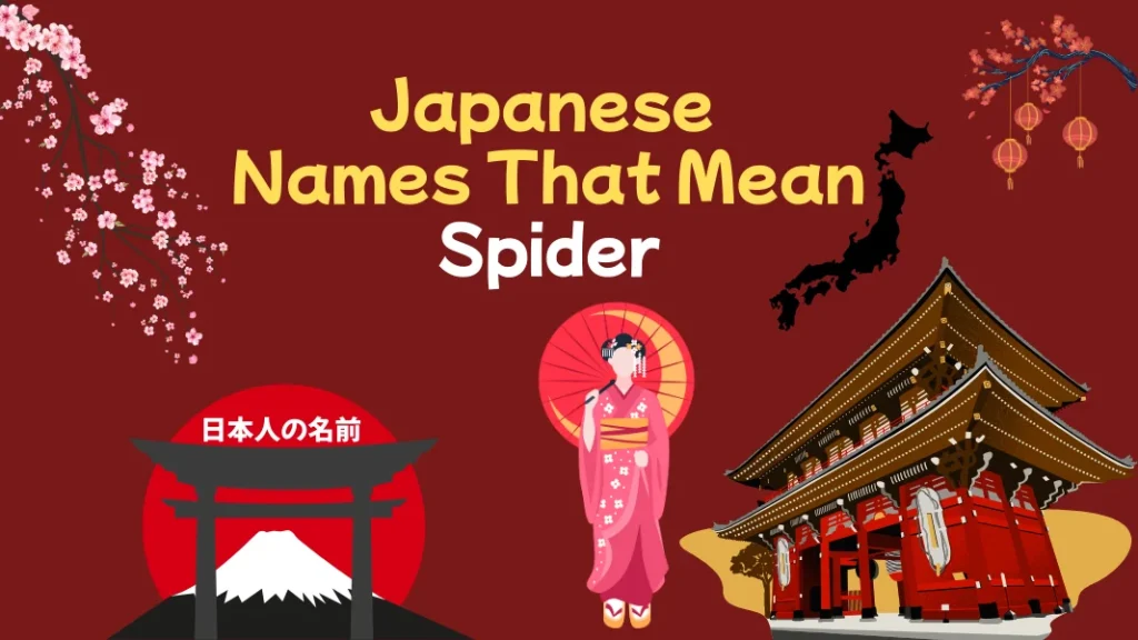Japanese Names That Mean Spider