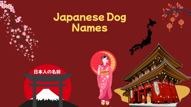 Japanese Dog Names